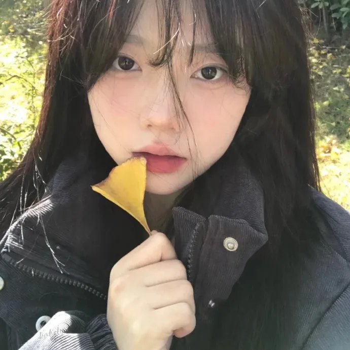 驯鹿总动员